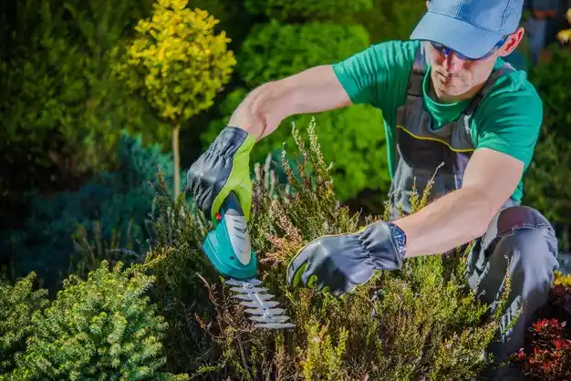 landscaping services Lake Mykee Town